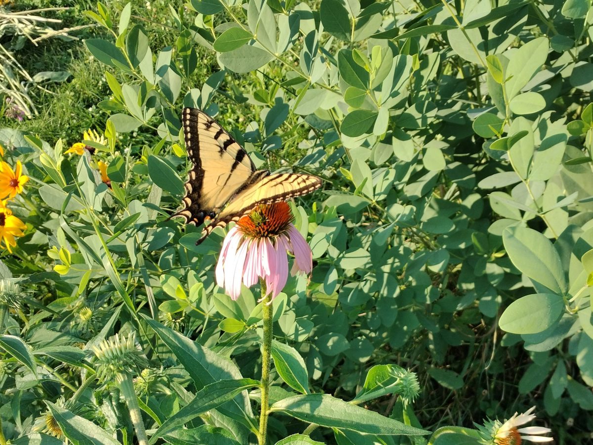 A Garden is a Department of&nbsp;Metaphysics