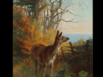 A Deer and I Surprised Each&nbsp;Other