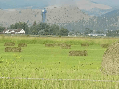 My Grandfather’s Hayfield