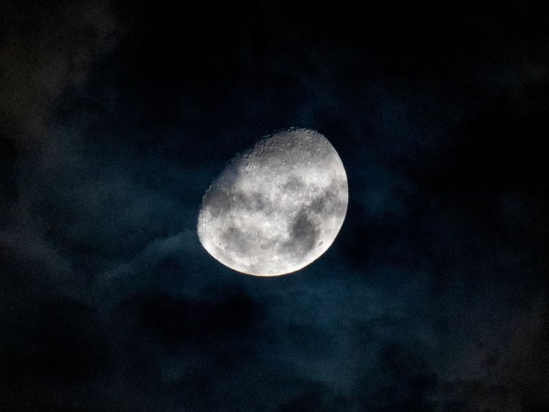 Old Mr. ‘Possum and the&nbsp;Moon